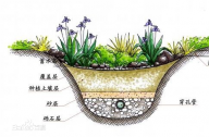 什么是雨水花園？雨水花園和普通花園有什么區(qū)別？
