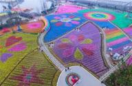 花卉種植園變身風(fēng)車(chē)海洋 風(fēng)車(chē)展將持續(xù)到四月底